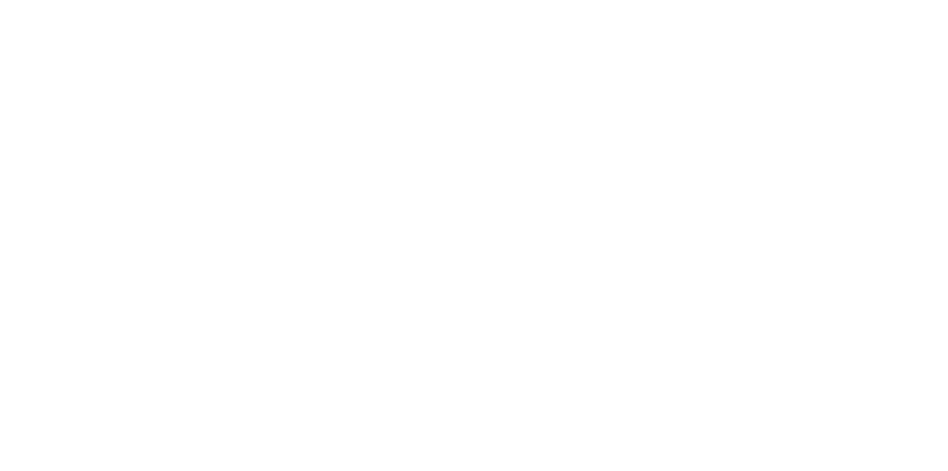 Logo Sales Academy — PT BNI Life Insurance